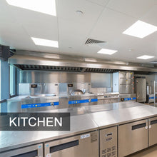 Load image into Gallery viewer, Alutech Alliance Metal Ceiling Tile Clip-in Style